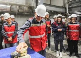 Какие активы челябинского миллиардера Струкова попали под национализацию