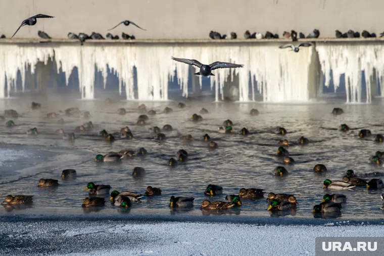Длинные выходные на Урале будут ощутимо прохладными