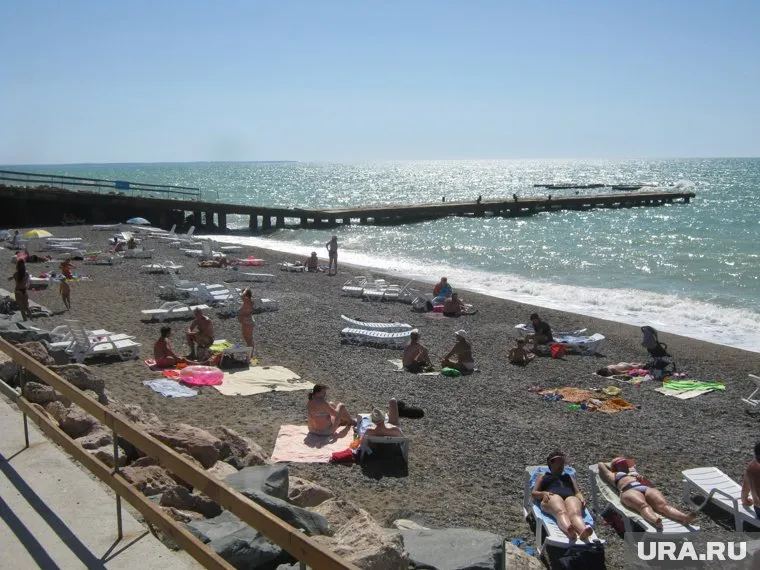 Результаты голосования были названы «политической слепотой»