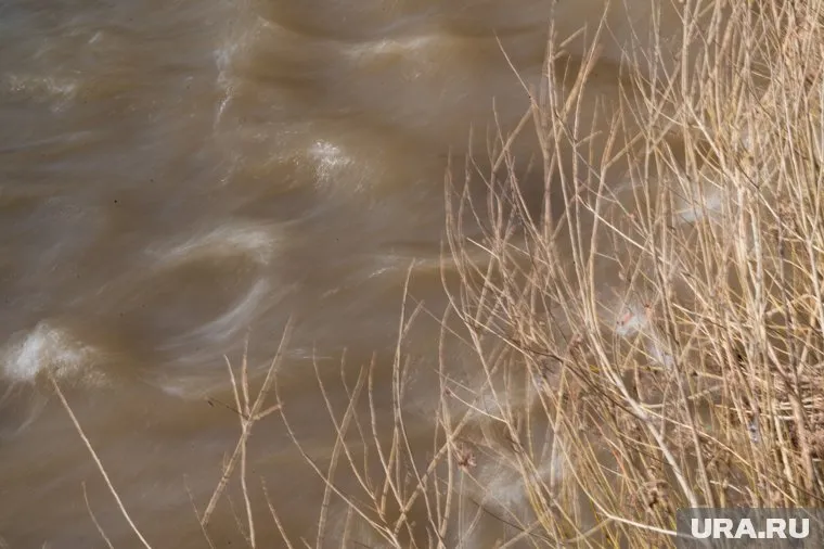 Жителей Орска призвали срочно эвакуироваться из-за прорыва дамбы