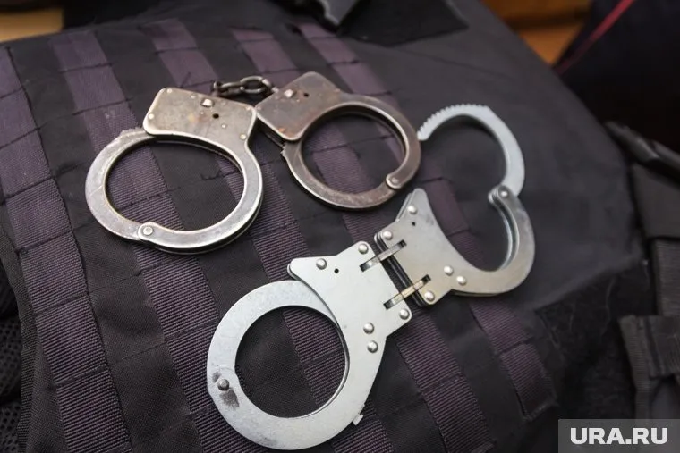 Адвокат Елена Шихова объявлена в розыск