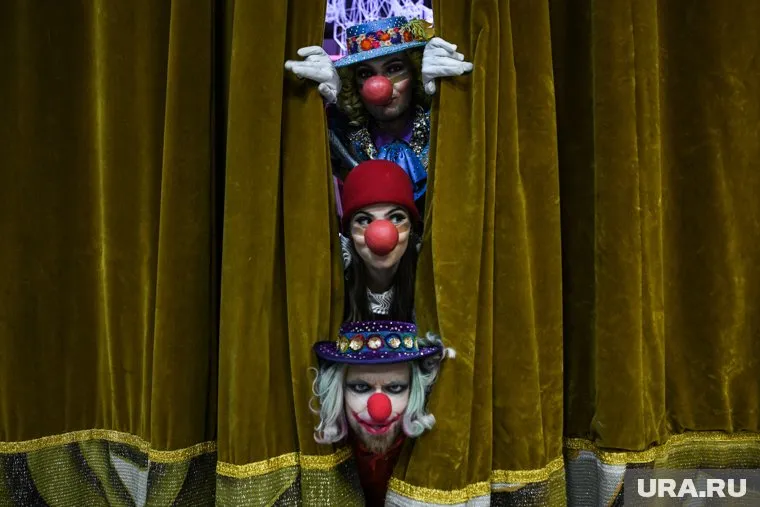 В 2024 году Росгосцирк взыскал с мэрии 85,3 миллиона рублей