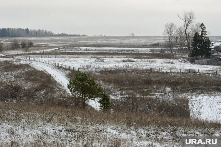 Дельталет упал в районе поселка Александровка