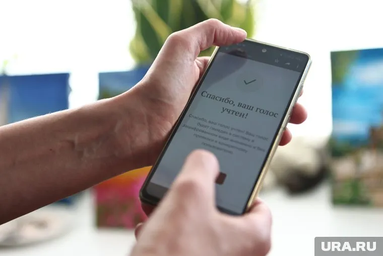 Южноуральцы могут принять участие в предварительном электронном голосовании через сайт