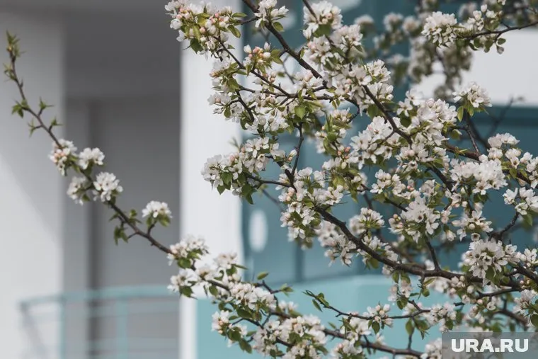 Потепления жителем Ямала стоит ждать 29 мая