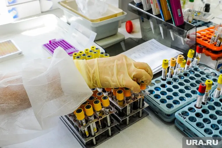 За сутки приходится обрабатывать почти 10 тысяч проб на COVID
