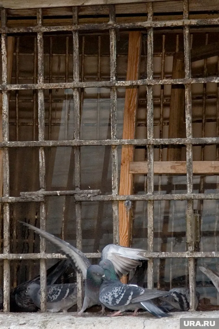 Свадьба прошла в следственном изоляторе