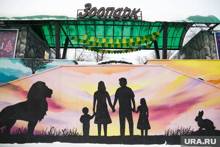 В зоопарк Перми прибыли дикобразы