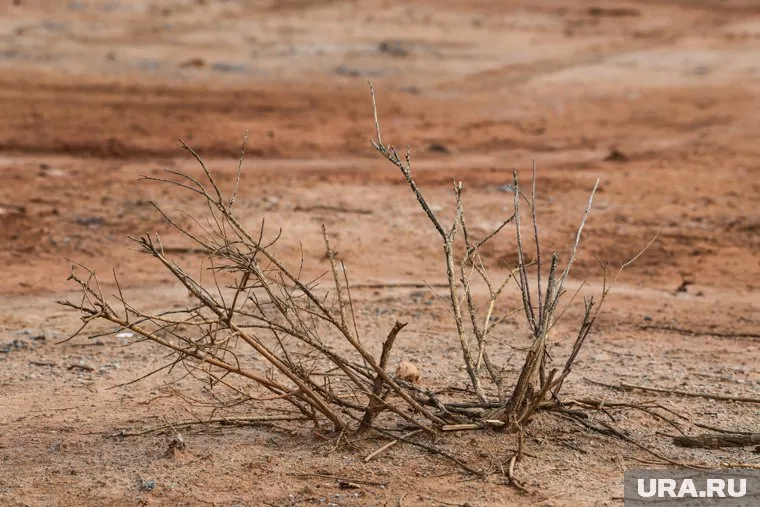 Покорение Марса может стать вполне реальным для человечества, считает Дмитриев
