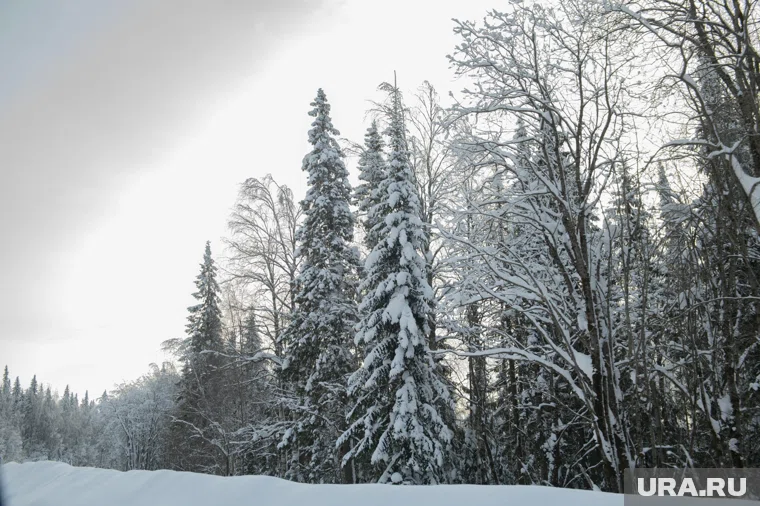 Сергей Усольцев, пропавший вместе с семьей в тайге, был общительным и культурным человеком, рассказали местные жители