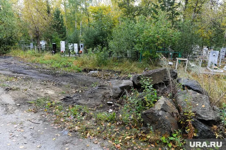 На лесной дороге обнаружили куски плит с братских могил (фото архивное)