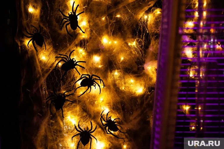 Россияне привозят жуков-кожеедов вместе с вещами из других стран (архивное фото)