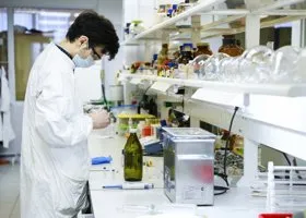 В ХМАО обнаружили вирус африканской чумы