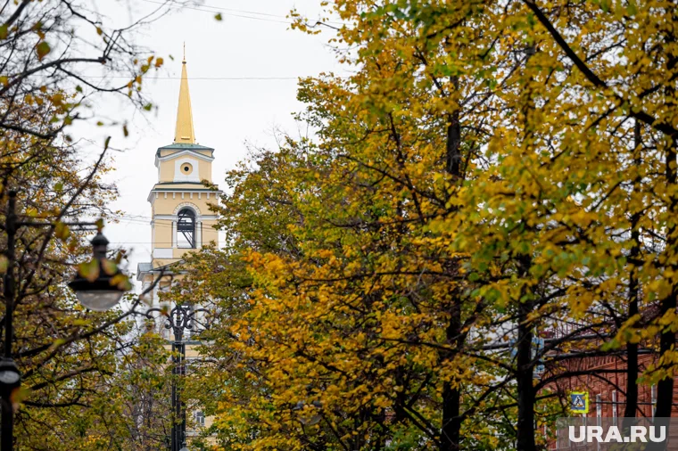 Политики Прикамья поделились рецептами от осенней хандры