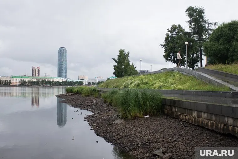 После снижения уровня воды оголилось дно городского пруда