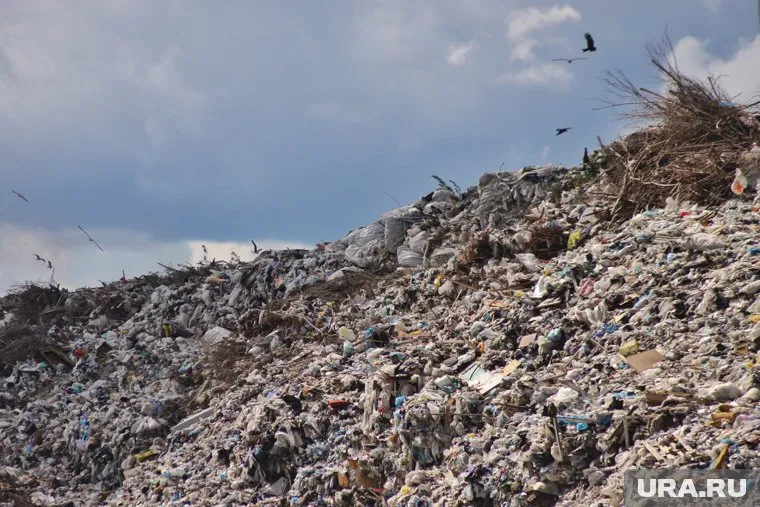 Очистить территорию прокуратура заставляет чиновников через суд