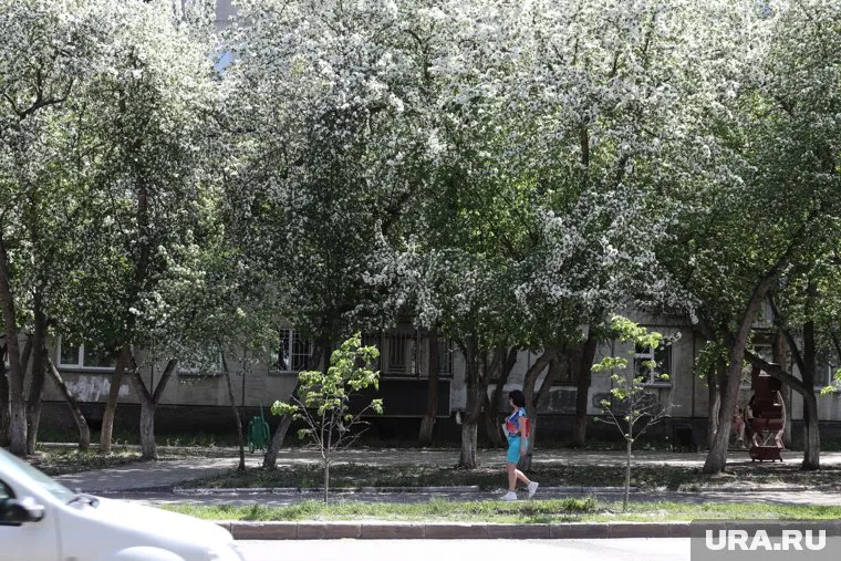 В регионе может потеплеть до +22 градусов