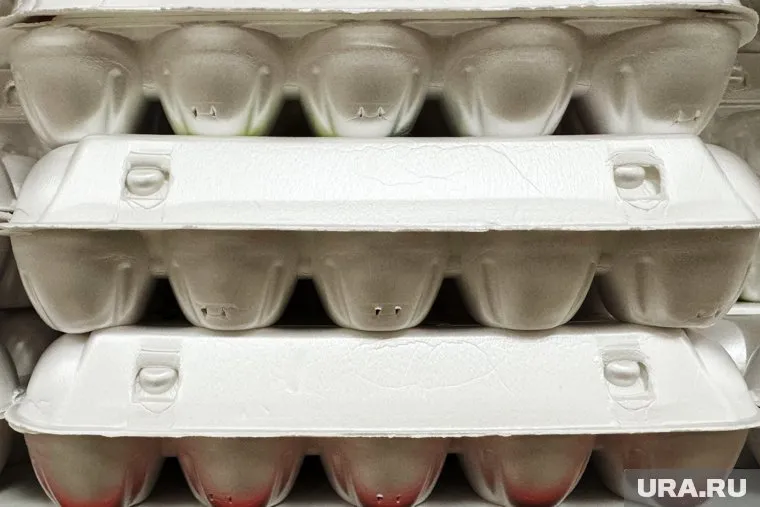 Жители Салехарда раскупают куриные яйца по акции