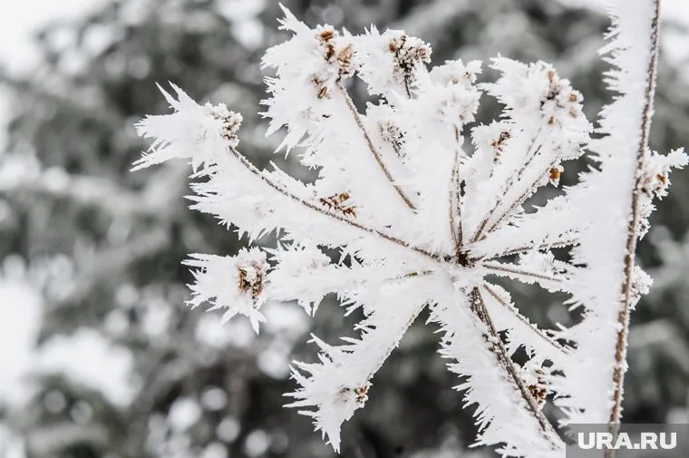 В отдельных районах температура может упасть до минус 43 градусов