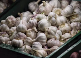 Шелуха, глиняные горшки и соль: курганские хозяйки рассказали, как сохранить чеснок