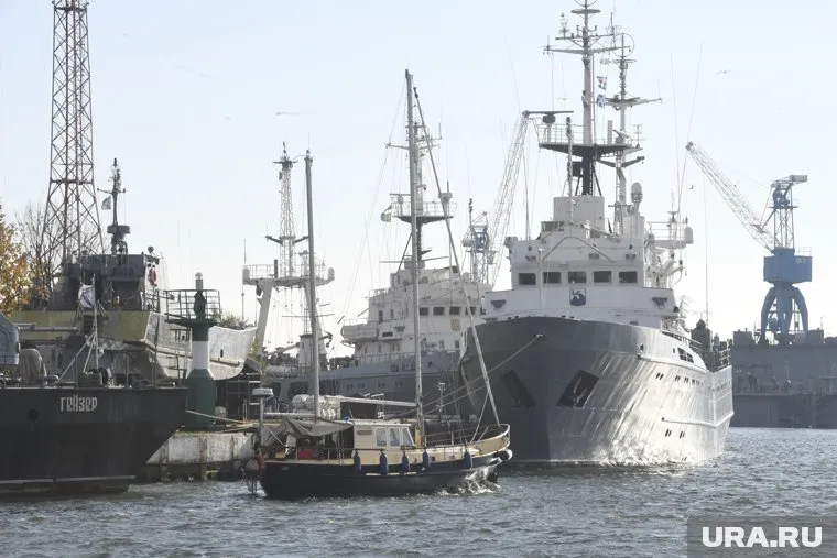 Назначен новый человек на должность командующего Тихоокеанским флотом