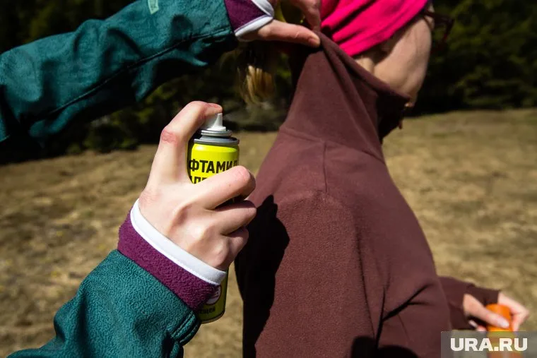 Репелленты работают эффективнее, если одежда обрабатывается ими задолго до похода в лес