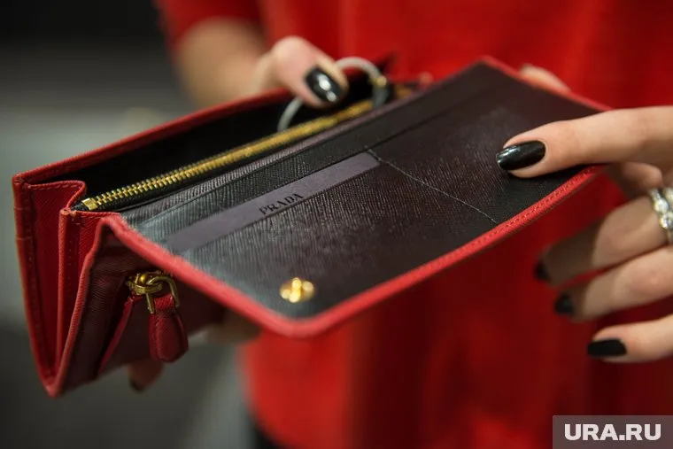 Доход чиновницы в десятки раз больше предложенного ею минимума