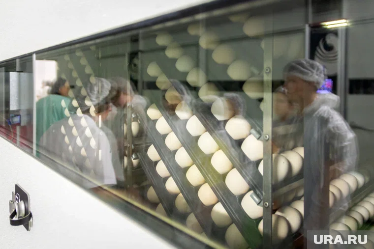 Доходность актива может быть одной из причин отказа от приватизации