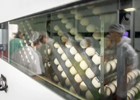 Актив, который зарабатывает: что известно о правительственной птицефабрике, избежавшей приватизации