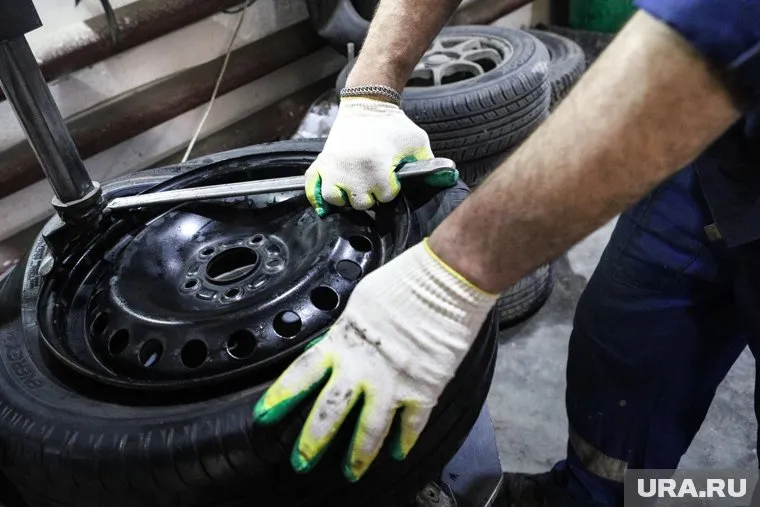 В Кургане объявили три аукциона на ремонт правительственных автомобилей (архивное фото)