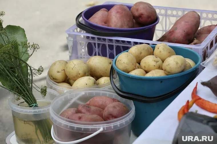 Афанасьев потребовал усилить контроль за несанкционированной торговлей