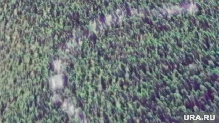 Существования северного божества до сих пор не подтверждено историками