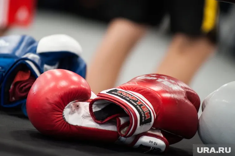 На боксерских перчатках расписались 11 спортсменов