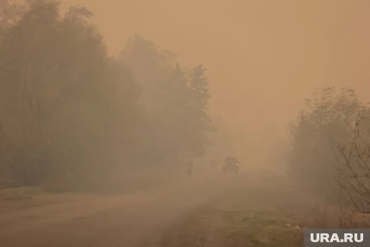 Жителей трех деревень на границе Кетовского и Белозерского округов эвакуируют из-за лесного пожара в качестве превентивной меры