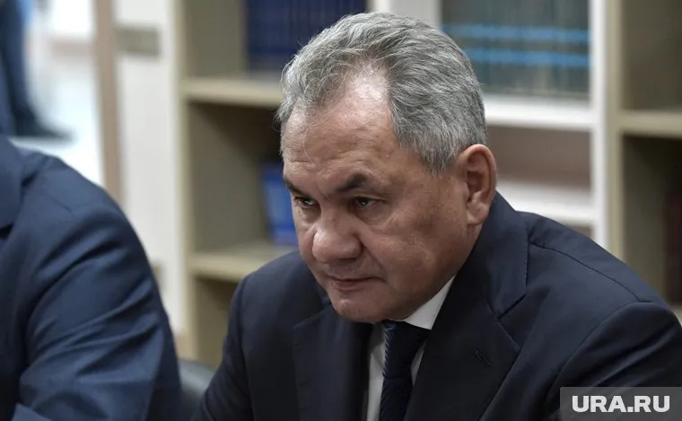 Сергей Шойгу призвал экономистов думать о доходах государства