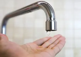 Фотография из галереи