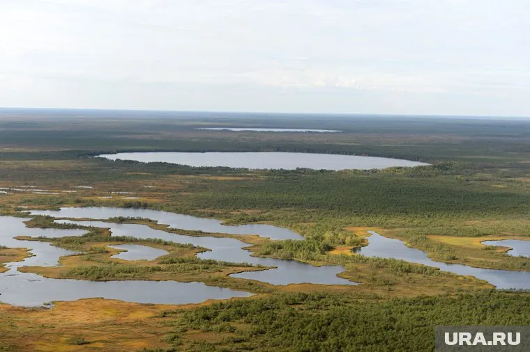 Жительница нашла в тундре гриб-мутант