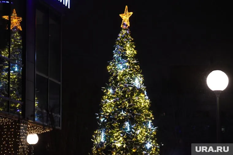 Елку спилили без спроса на садовом участке и установили на городской площади