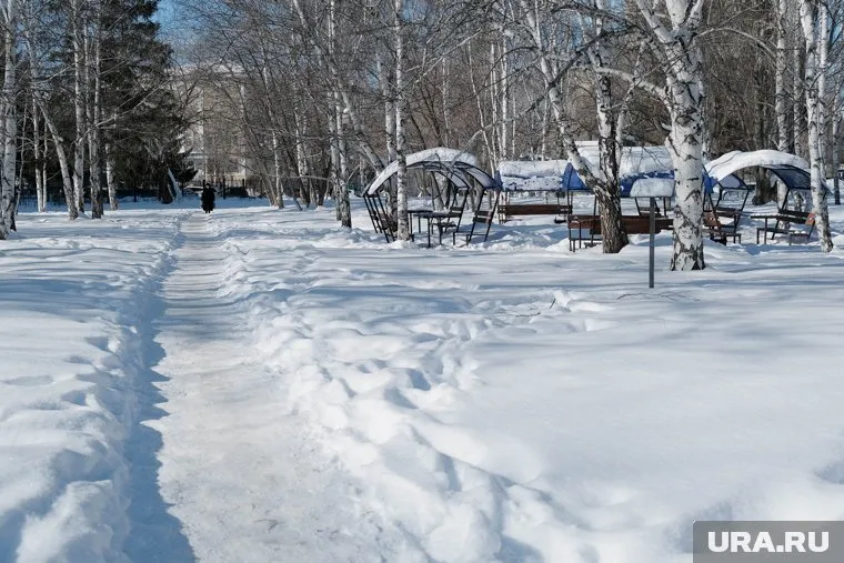 Горсад и подъезд к архиву в Кургане завалены сугробами после снегопада (архивное фото)