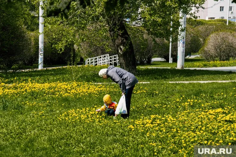 Депутаты предложили начислять пенсионные баллы бабушкам и дедушкам, воспитывающим внуков