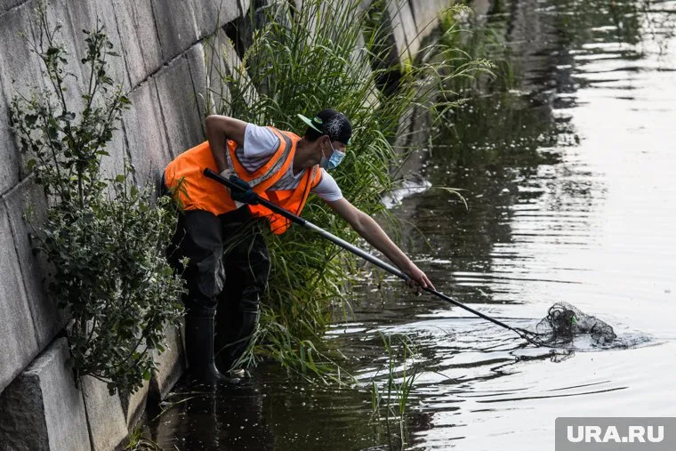 Новые правила должны вступить в силу в 2020 году