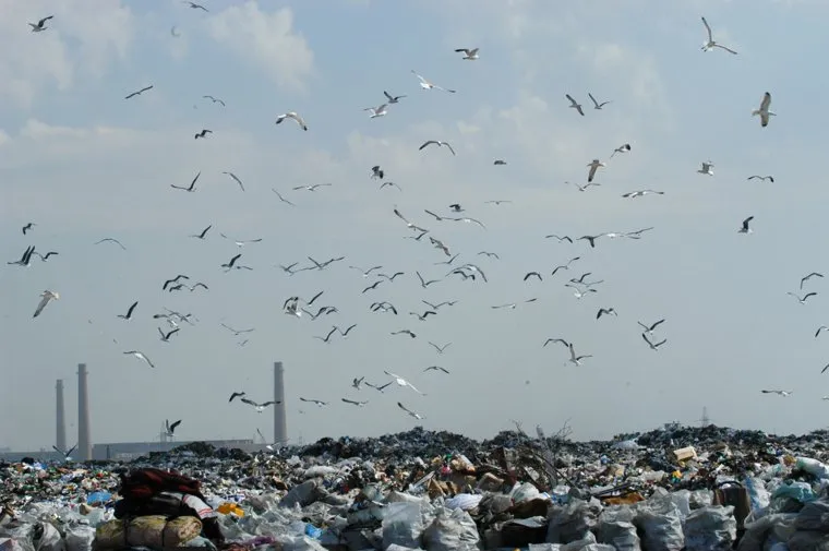 Свалка. Челябинск.