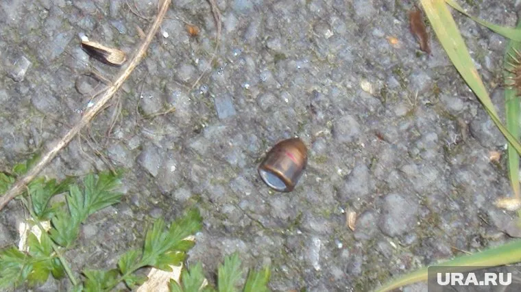 Пуля лежала под окном дома