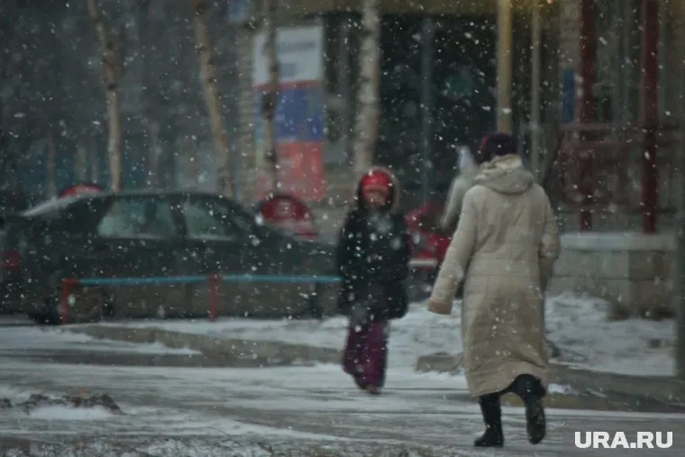 Сильный ветер со снегом прогнозируются в Челябинской области