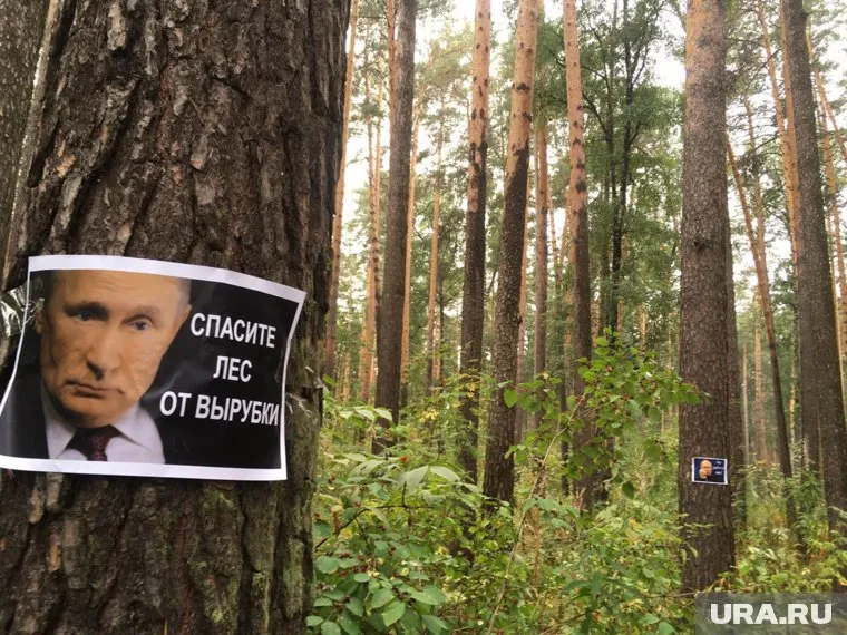 Борьба за лес длится почти 30 лет