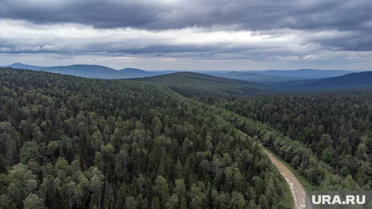 Семья пропала в тайге