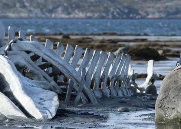 Фотография из галереи