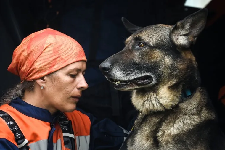 Обрушение дома по улице Сибирская, 81 в Нижнем Тагиле. Нижний Тагил