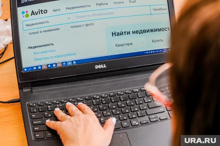 Необычная ферма продается через сайт «Авито»