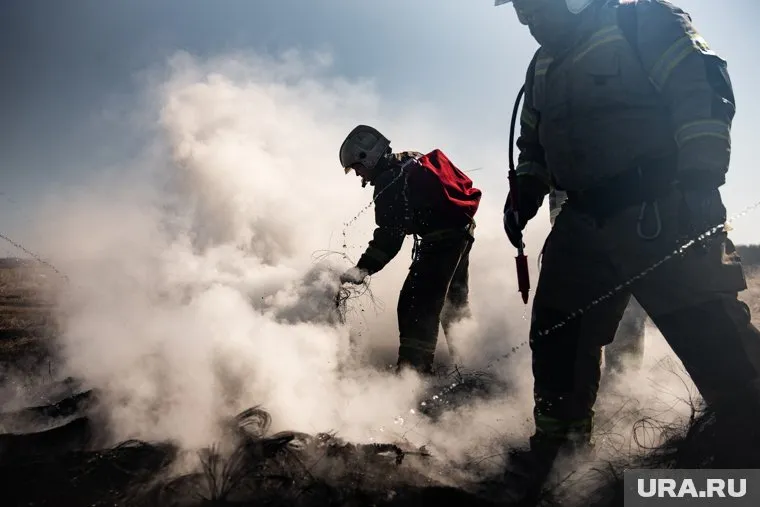 Челябинцам разрешили выезжать на шашлыки в лес